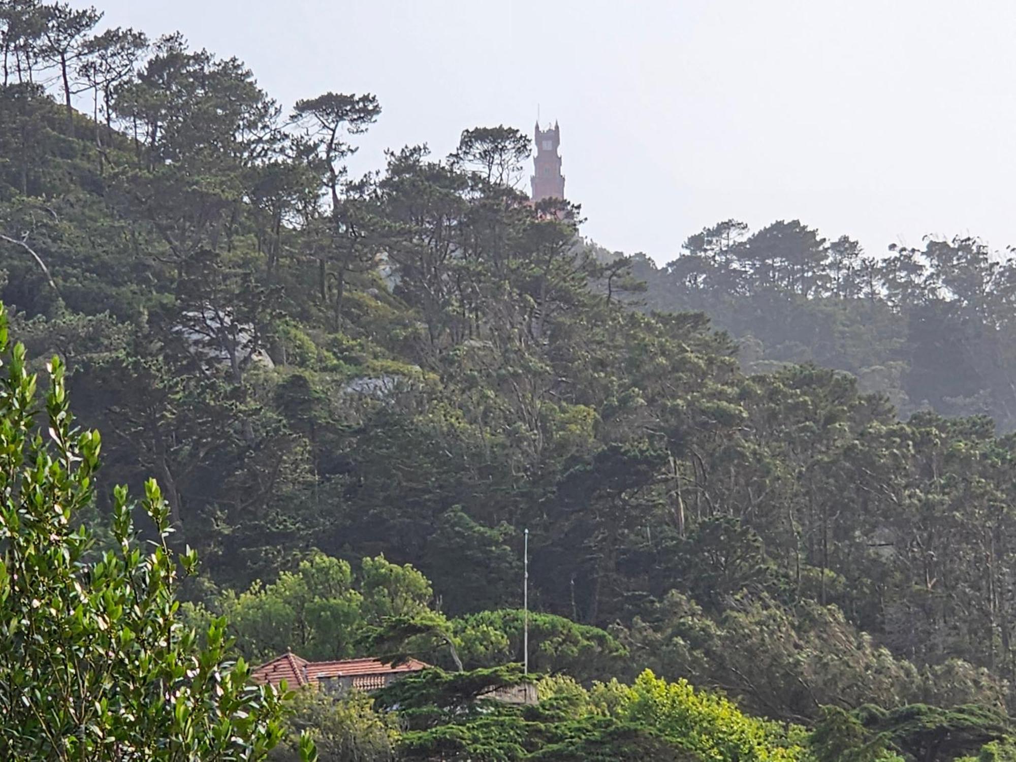 Sintra Chalet Exteriör bild